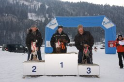 Lenk 2012 SM